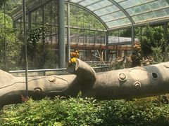 -无锡动物园·太湖欢乐园