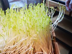 -大头椰·椰子鸡火锅(南宁万象城店)