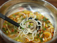 -攀枝花·任德琼·盐边羊肉米线