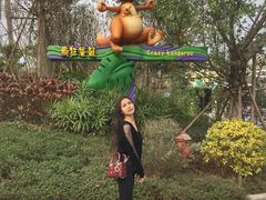 -美的鹭湖探索王国