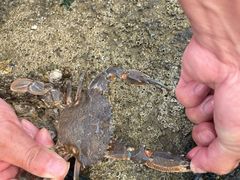 -泊石湾海滨浴场