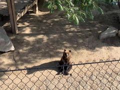 -石家庄市动物园