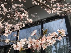 -郑州中国绿化博览园