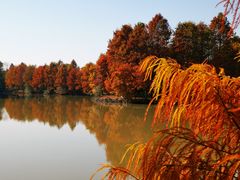 -上海海湾国家森林公园