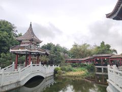 -顺峰山公园