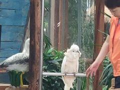 -南宫温泉水世界