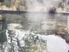 -凤翔首邑温泉度假村