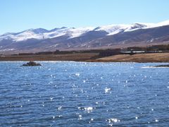 -青海湖国家重点风景名胜区