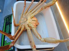 -本达人海鲜烧烤·朝鲜族风味(发展店)