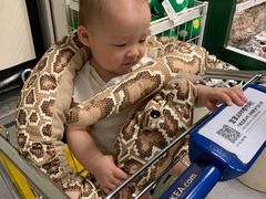 -宜家家居(西安未央商场店)