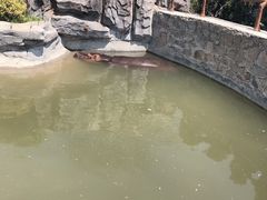 -青岛森林野生动物世界