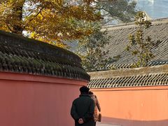 -宝光寺