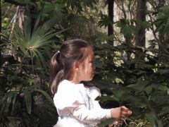 -苏州河梦清园环保主题公园