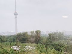 -中国宋庆龄青少年科技文化交流中心
