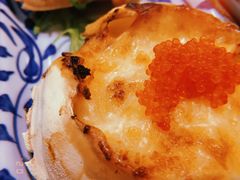 金牌芝士焗雪蟹宝-德川家日本料理(龙德广场店)