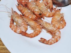 野生大斑节虾-凯华海鲜火锅·传承三十六年