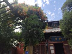 -洛阳白马寺
