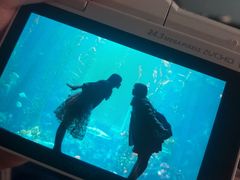 -Sony Store 索尼(上海淮海中路店)