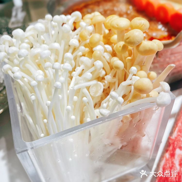 万象天地必吃火锅｜熊猫烫火锅