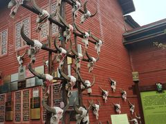 -呀路古热带植物园