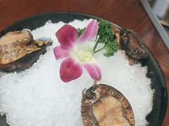 -东海怡品海鲜豆捞(舟宿夜江店)