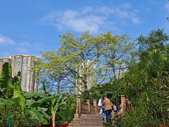 -晓港公园