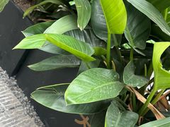 -茄子恰恰·新云南小炒(钱王街店)