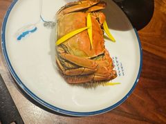 -揽季锅物会.福建黄鱼.海鲜姿造(五四路店)