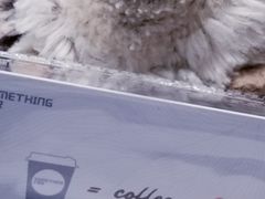 -Something For(中洲湾店)