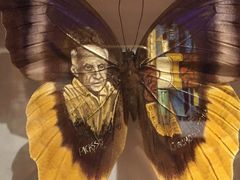 -信不信由你博物馆