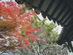 -嘉定博物馆