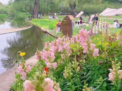 -上海共青森林公园