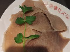 -季季红火锅(动壹店)