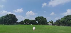 -玄武湖景区-情侣园游乐场