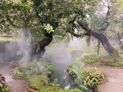 -Chom Cafe and Restaurant