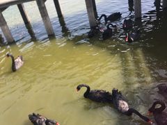 -鄱阳湖国家湿地公园