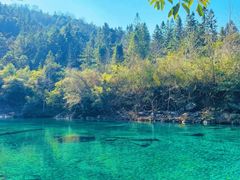 -石台牯牛降景区