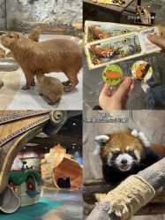 -Zoolung Zoolung动物主题公园(海信广场店)