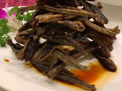 -新聚丰菜馆(太监弄店)