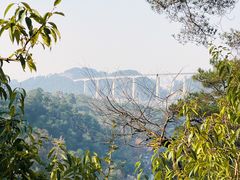 -黔灵山公园
