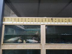 -胖大姐黄辣丁鱼庄(新津店)