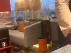 -百草滩羊清水涮羊肉·清真·宁夏盐池滩羊(莲花桥店)