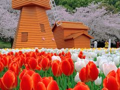 -苏州上方山国家森林公园