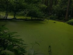-虎跑公园