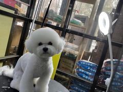 -久久宠物(河东万达店)