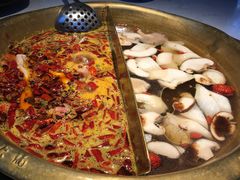 渝利鸳鸯锅-渝利重庆火锅