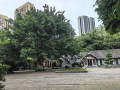 -龙头寺公园
