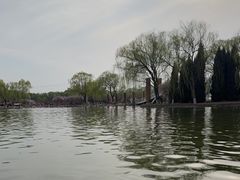 -石家庄市植物园