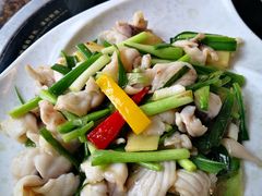 姜葱炒爽鲩片-顺德小厨·招牌无骨鱼(广百百货店)