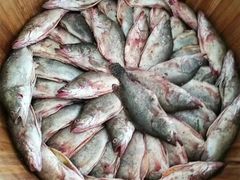 徽三臭鳜鱼-徽三说·土徽菜·中国徽菜连锁品牌(一中店)